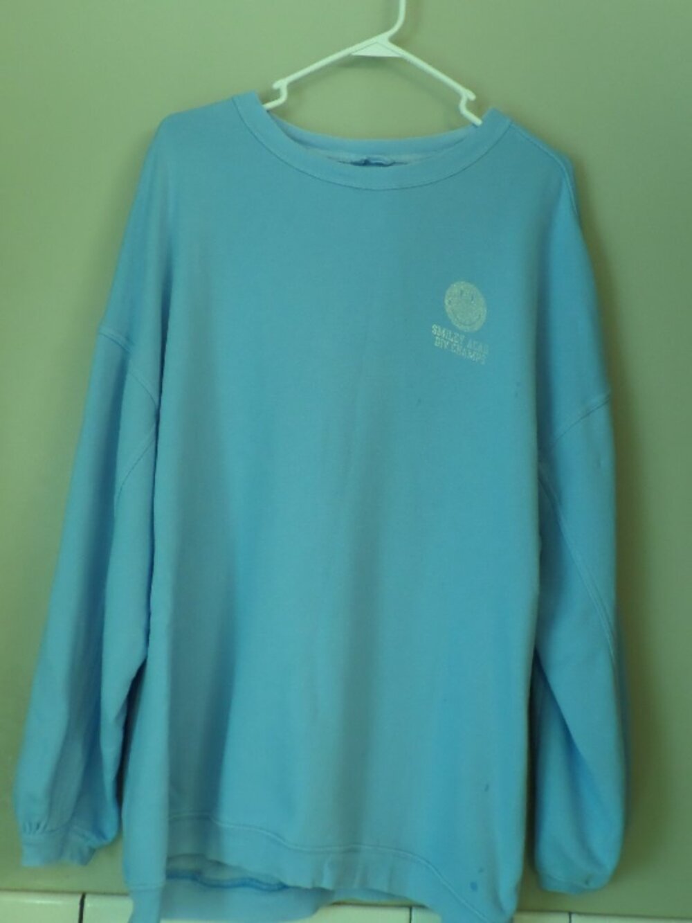 Aerie Smiley Real Crew Blue Sweatshirt – Size Large
